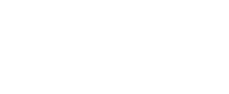 Nomad Capital logo